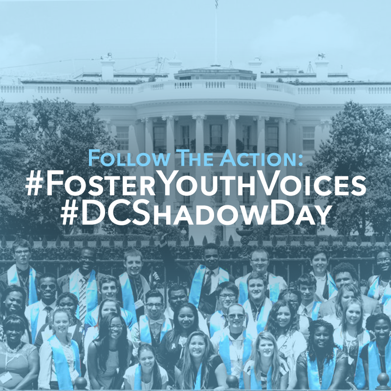 Congressional Shadow Program Congressional Shadow Program